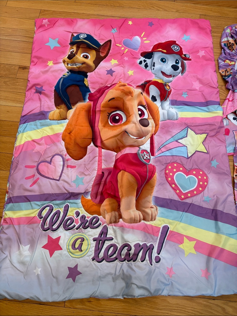 Paw Patrol Set Pink Purple Toddler Bedding Set - Skye & Friends